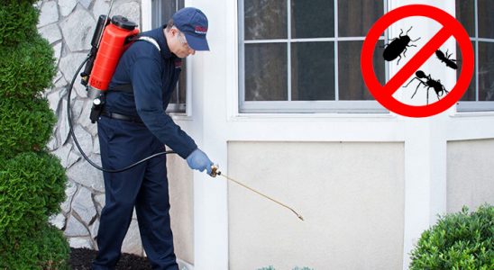 Çayırlı Kemirgen İlaçlama böcek ilaçlama ve haşere kontrolü — ilaclama-tr.com